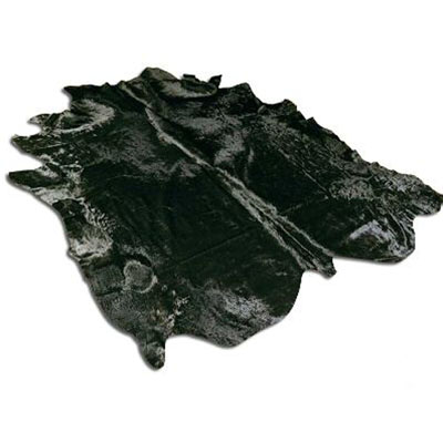  : Carpet - TP01